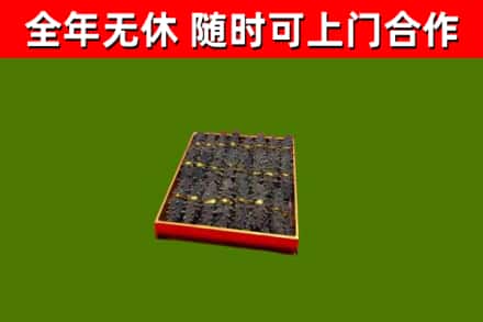 东城区回收海参